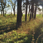 Espacio Educativo al Aire Libre «Campo Benedetto» en Loma Alta